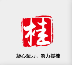 聚焦产业，努力援桂